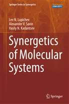 Vasi Kadantsev, Vasiliy N. Kadantsev, Vasily N. Kadantsev, Lev Lupichev, Lev N Lupichev, Lev N. Lupichev... - Synergetics of Molecular Systems