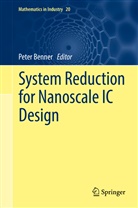 Pete Benner, Peter Benner - System Reduction for Nanoscale IC Design