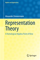 Alexander Zimmermann - Representation Theory