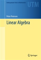 Peter Petersen - Linear Algebra