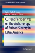 E Orser Jr, E Orser Jr, Pedro Funari, Pedro Paulo A. Funari, Charles E. Orser, Charles E. Orser Jr... - Current Perspectives on the Archaeology of African Slavery in Latin America