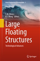 M Wang, C M Wang, T Wang, T Wang, B. T. Wang, B.T. Wang... - Large Floating Structures