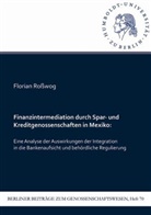 Florian Roßwog - Finanzintermediation durch Spar- und Kreditgenossenschaften in Mexiko