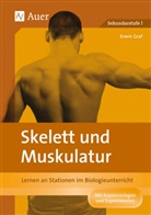 Erwin Graf - Skelett und Muskulatur