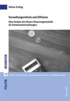 Stefan Schlag - Verwaltungsreform und Effizienz
