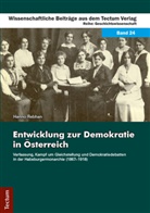 Hanno Rebhan - Entwicklung zur Demokratie in Österreich