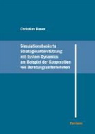 Christian Bauer - Simulationsbasierte Strategieunterstützung mit System Dynamics am Beispiel der Kooperation von Beratungsunternehmen
