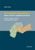 Mathias König - Die Europäische Metropolregion: Neuer Vertreter regionaler Interessen