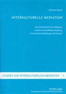 Dominic Busch - Interkulturelle Mediation