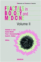 G. Losa, Gabriele Losa, D. Merlini, Danilo Merlini, T. Nonnenmacher, Theo F. Nonnenmacher... - Fractals in Biology and Medicine