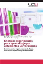 Elizabet del Rosario Vázquez Borges, Elizabeth del Rosario Vázquez Borges, Iván Méndez, Roger Iván Méndez Novelo, Elizabeth del Rosario Vázquez Borges - Energía: experimentos para aprendizaje por estudiantes universitarios
