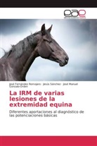 Jos Fernández Romojaro, José Fernández Romojaro, Gonzalo-Or, José Manuel Gonzalo-Orden, Jesú Sánchez, Jesús Sánchez - La IRM de varias lesiones de la extremidad equina