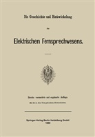 Julius Springer, Julius Springer, Julius Springer - Die Geschichte und Entwickelung des Elektrischen Fernsprechwesens