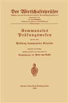 Peter van Aubel, Peter van Aubel - Kommunales Prüfungswesen