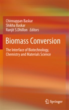 Chinnappan Baskar, Shikh Baskar, Shikha Baskar, Ranjit S. Dhillon, Ranjit S Dhillon - Biomass Conversion
