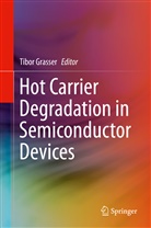 Tibo Grasser, Tibor Grasser - Hot Carrier Degradation in Semiconductor Devices