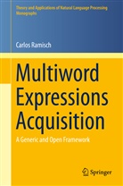 Carlos Ramisch - Multiword Expressions Acquisition