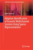 Karim Helwani - Adaptive Identification of Acoustic Multichannel Systems Using Sparse Representations
