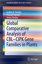 Poona Kanwar, Poonam Kanwar, Amita Pandey, Girdhar Pandey, Girdhar K Pandey, Girdhar K. Pandey - Global Comparative Analysis of CBL-CIPK Gene Families in Plants