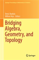 Deni Ibadula, Denis Ibadula, Veys, Veys, Willem Veys - Bridging Algebra, Geometry, and Topology