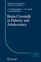 Jean-Pierre Bourguignon, Jean-Claud Carel, Jean-Claude Carel, Yves Christen, Jacques Young - Brain Crosstalk in Puberty and Adolescence