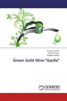 Shailesh Jadhav, Anshik Pandey, Anshika Pandey, Shubhr Tiwari, Shubhra Tiwari - Green Gold Mine "Azolla"