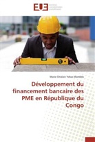 Mandelo-m, Marie Ghislain Yebas Mandelo - Developpement du financement