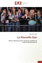 Mickaël Le Dref, Le dref-m - La nouvelle star