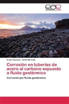 Carlos Miranda, Israe Sauceda, Israel Sauceda - Corrosión en tuberías de acero al carbono expuesto a fluido geotérmico