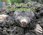 Gill Munton, Peter Bull - What's Underground