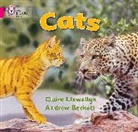 Claire Llewellyn, Llewellyn Claire, Andrew Beckett, Beckett Andrew - Cats