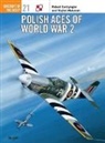 Robert Gretzyingier, Robert Gretzyngier, Wojtek Matusiak, Mike Chappell, Robert Gretzyngier, Robert Grudzien... - Polish Aces of World War 2