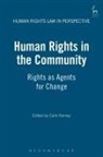 Colin Harvey, Colin Harvey - Human rights in the community