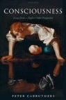 Peter Carruthers - Consciousness