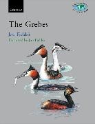 Jon Fjeldsa, Jon Fjeldså, Fjeldså Jon, Jon Fjeldsea, Jon Fjeldsa - The Grebes