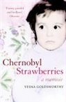 Vesna Goldsworthy - Chernobyl Strawberries