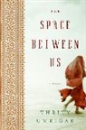 Thrity Umrigar - The Space Between Us