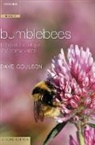 Dave Goulson, Dave (University of Stirling Goulson, Goulson Dave - Bumblebees