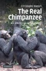 Christophe Boesch - Real Chimpanzee