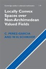 C. Perez-Garcia, C. (Universidad De Cantabria Perez-Garcia, C. Schikhof Perez-Garcia, Perez-Garcia C., W. H. Schikhof, W. H. (Radboud Universiteit Nijmegen) Schikhof... - Locally Convex Spaces Over Non-Archimedean Valued Fields