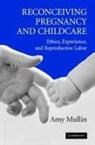 Amy Mullin, Amy (University of Toronto) Mullin - Reconceiving Pregnancy and Childcare