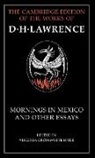 D. H. Lawrence, Virginia Crosswhite Hyde - Mornings in Mexico and Other Essays