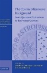 Jose Alberto Rubino-Martin, Jose Alberto (Instituto De Astrofis Rubino-Martin, Jose Alberto Rebolo Rubino-Martin, E. Mediavilla, Evencio Mediavilla, Evencio (Instituto de Astrofisica de Canarias Mediavilla... - Cosmic Microwave Background
