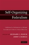 Richard C. Feiock, Richard C. (Florida State University) Scho Feiock, Richard C. Scholz Feiock, Richard C. Feiock, Richard C. (Florida State University) Feiock, John T. Scholz... - Self-Organizing Federalism