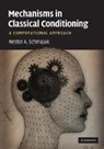 Nestor Schmajuk, Nestor (Duke University Schmajuk, Nestor A. Schmajuk - Mechanisms in Classical Conditioning