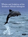 Peter B Best, Peter B. Best, Peter B. (University of Pretoria) Best, Best Peter B., Pieter A. Folkens - Whales and Dolphins of the Southern African Subregion