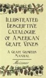 Meissner, Bush &amp; Son Meissner, Bush &amp;. Son &amp;. Meissner, Bush &amp;amp Meissner, Garrett Putman Serviss, Son - Illustrated Descriptive Catalogue of Ame