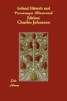 Charles Johnston - Ireland Historic and Picturesque (Illust