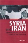 Jubin M Goodarzi, Jubin M. Goodarzi - Syria and Iran