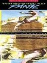 Not Available (NA), Amsco Music - Widespread Panic